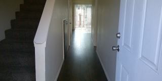IBT Management LLC Gallery 1