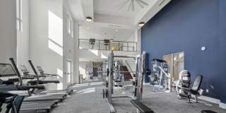 Mosaic at Lake Toho Gallery 15