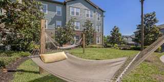 Bell Lake Forest Gallery 21