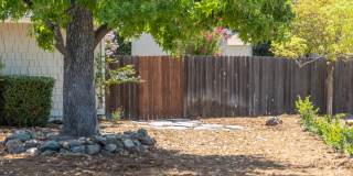 3803 Yellowstone Court Gallery 8