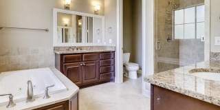 4189 Texas Elm Gallery 12
