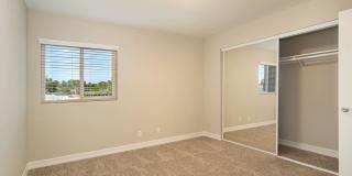 Pacific Cove Gallery 17