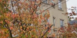 165 Corabelle Avenue 3 Gallery 1