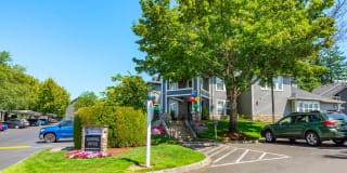 Black Lake Gallery 2