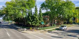 ONE11 COLLECTION - ROYAL OAK Gallery 64