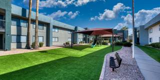 TelaVerde Gallery 15