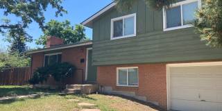 Huge 5BR, large yard, fireplace, big rooms! (Bellaire) Gallery 1