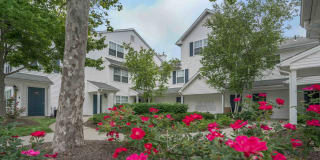 Willow Grove Gallery 19