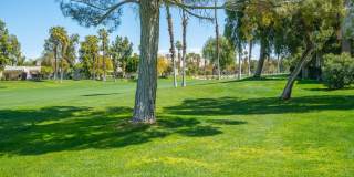 67328 Cumbres Court unit: 702 Gallery 1