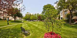 Saratoga Square Gallery 18