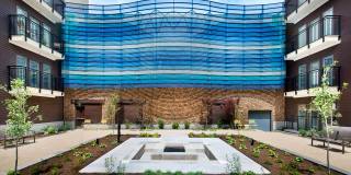 Axis Gallery 5