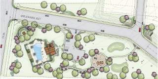 2434 Dry Moss Gallery 43