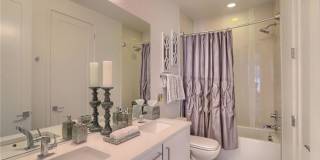 Charming 3BR Townhome in Denver Charming 3BR Townhome in Denver Gallery 40