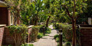 Ontario Town Square Townhomes Ontario Town Square Townhomes Gallery 25