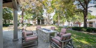 Nolia on the Hill Gallery 18