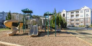 Henley at Mirror Lake Gallery 26