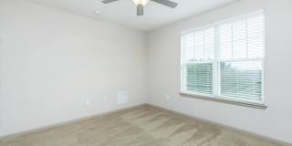 RIZE at Winter Springs Gallery 113