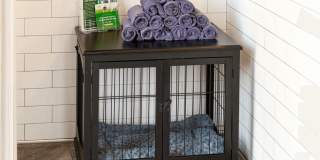 The Lights at Northwinds Gallery 11