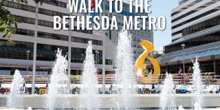 Strathmore Gallery 18