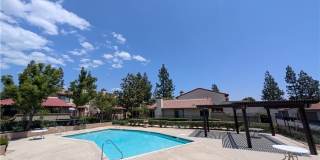 9764 Louise Drive 9764 Louise Drive Gallery 29