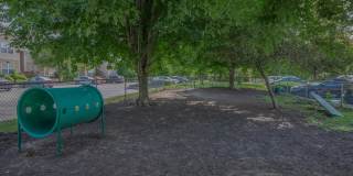 Millennium Apartments Gallery 57