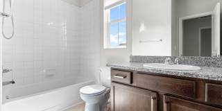 4951 Basalt Ridge Cir Gallery 22