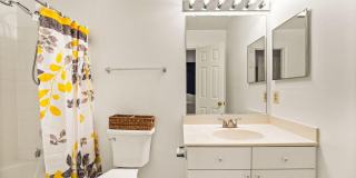 21071 MOSSY GLEN Terrace Gallery 44