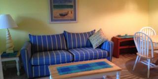 Furnished Two-Bedroom Coastal Condo | North End of Hilton Head Gallery 23