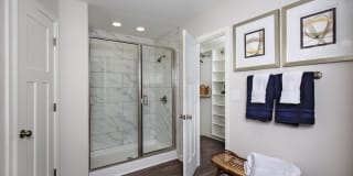 The Willows Apartments Gallery 15