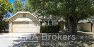 2407 Armadillo Gallery 1