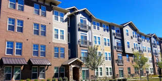 700 E Algonquin Road unit: 2106 Gallery 1