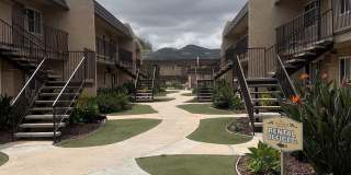 Meadowlark Gallery 2