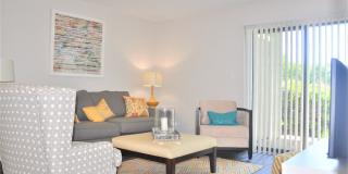 The Cypress Gallery 4
