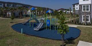 Ilumina Zephyrhills Gallery 28