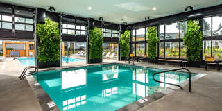 Lumina Apartments Gallery 4