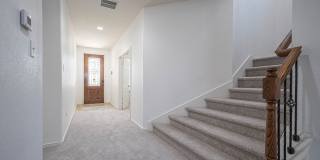 2527 Villa Borghese Gallery 3