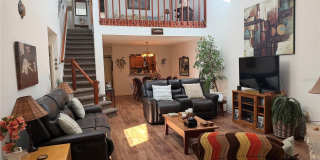 804 PALM HARBOR COURT Gallery 5