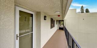 3338 Punta Alta Gallery 16