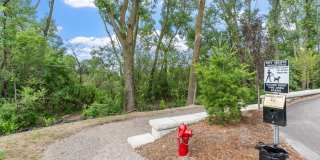 The Fox & The Grouse Gallery 95