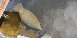 1806 NE 22nd Terrace Gallery 42