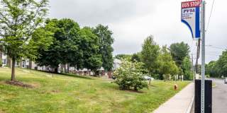 Rolling Green Gallery 26