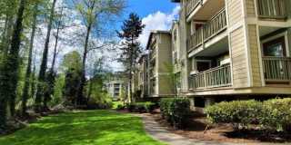 1Bd/1Ba Kenmore Condo Gallery 1