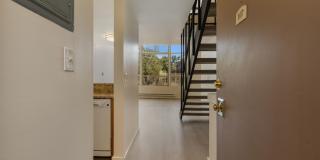 Marlene Renee Gallery 3