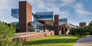 Vairo Village Gallery 50