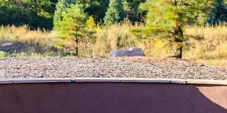 The Place At Forest Ridge Apartments Gallery 15