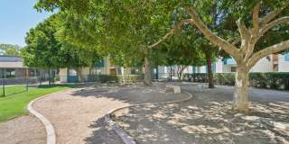 Sycamore Square Gallery 28