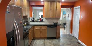4 Bedroom House in Manayunk Gallery 3
