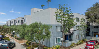 Oak Park Gallery 25