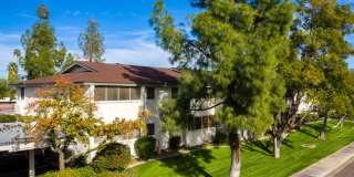 Azara Tempe Gallery 50