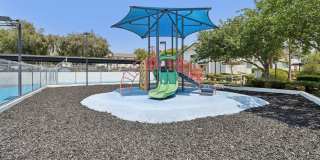 Vista Waterleaf Apartments Gallery 53